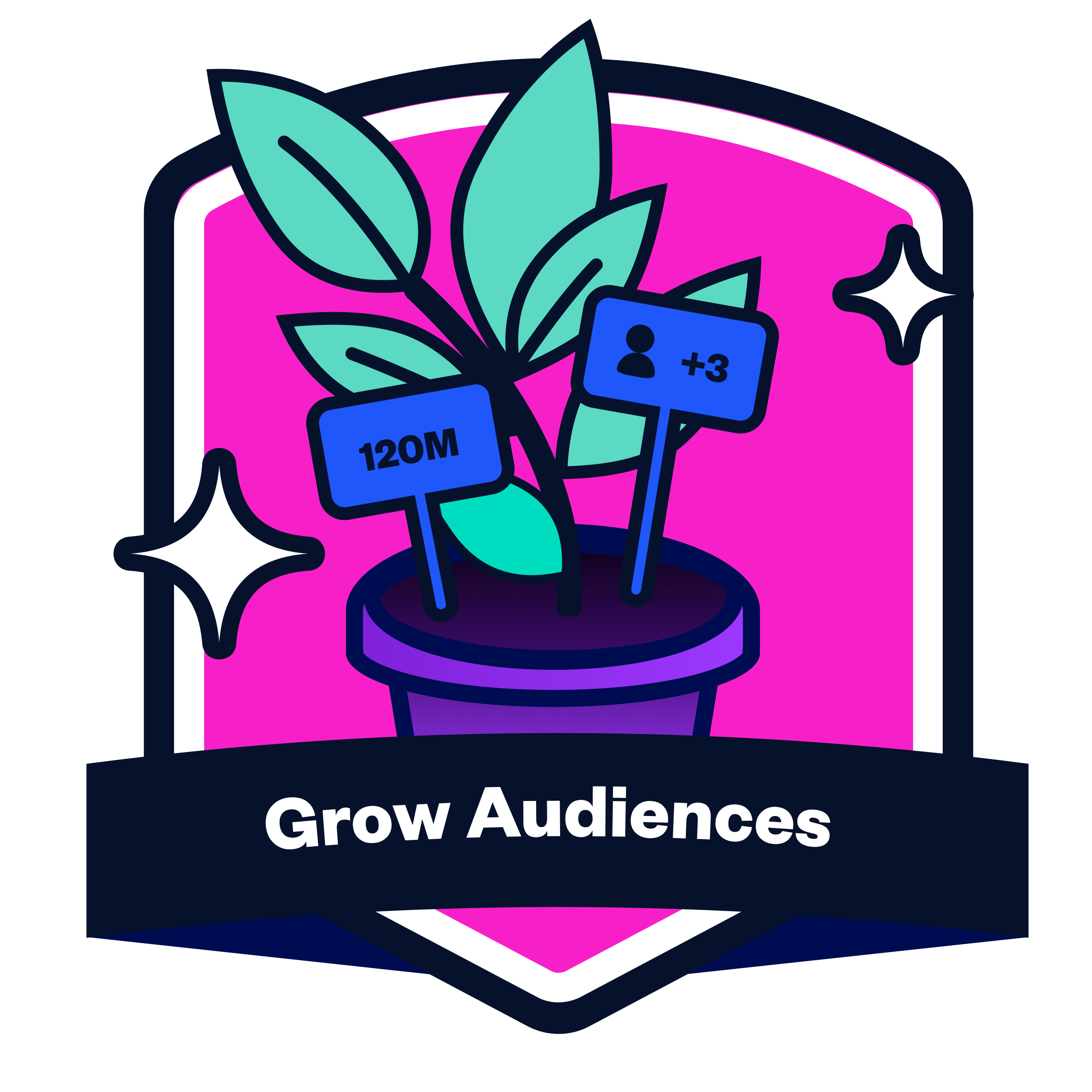 01_Grow_Audience